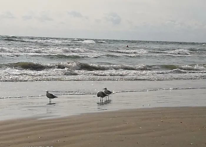 Апартаменты Luxury 42 De Silva